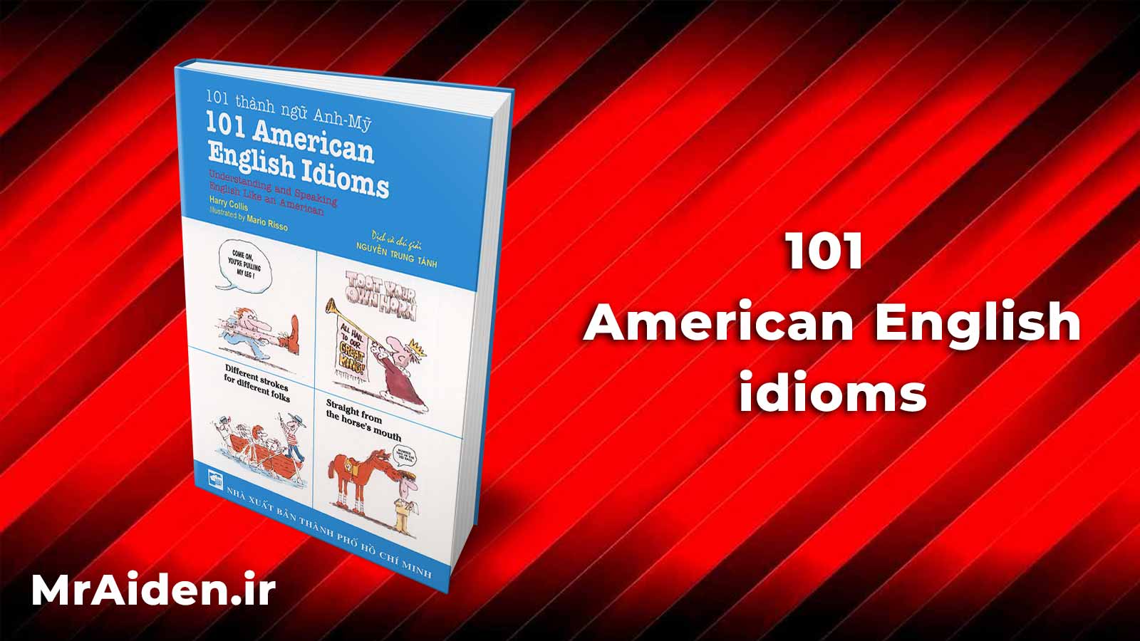 پی دی اف کتاب 101American English Idiom