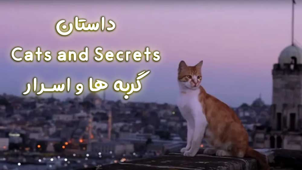 داستان Cats and Secrets – گربه ها و اسرار