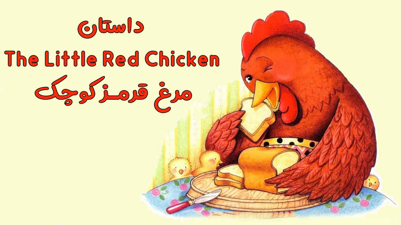 داستان The Little Red Chicken – مرغ قرمز کوچک
